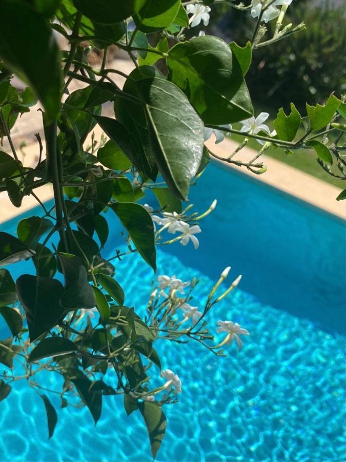Beautiful Villa With Pool, Barbecue, And Garden Jávea Kültér fotó